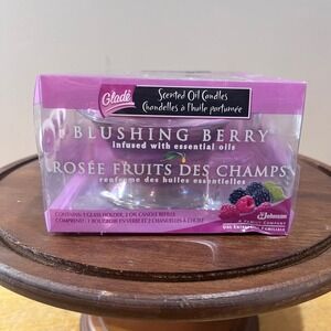 Glade Scented Oil Candles Blushing Berry Starter Kit Glass Holder 2 Refills Disc